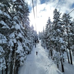 Meet your Posher, Summer